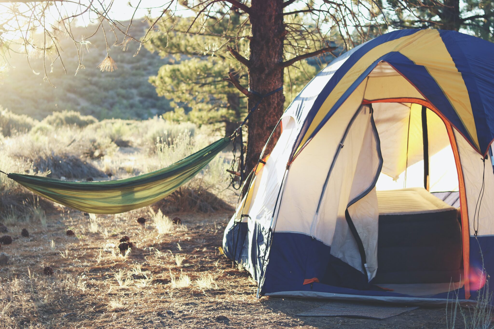 Essential for Camping Camping Canopy Guide know more about buying