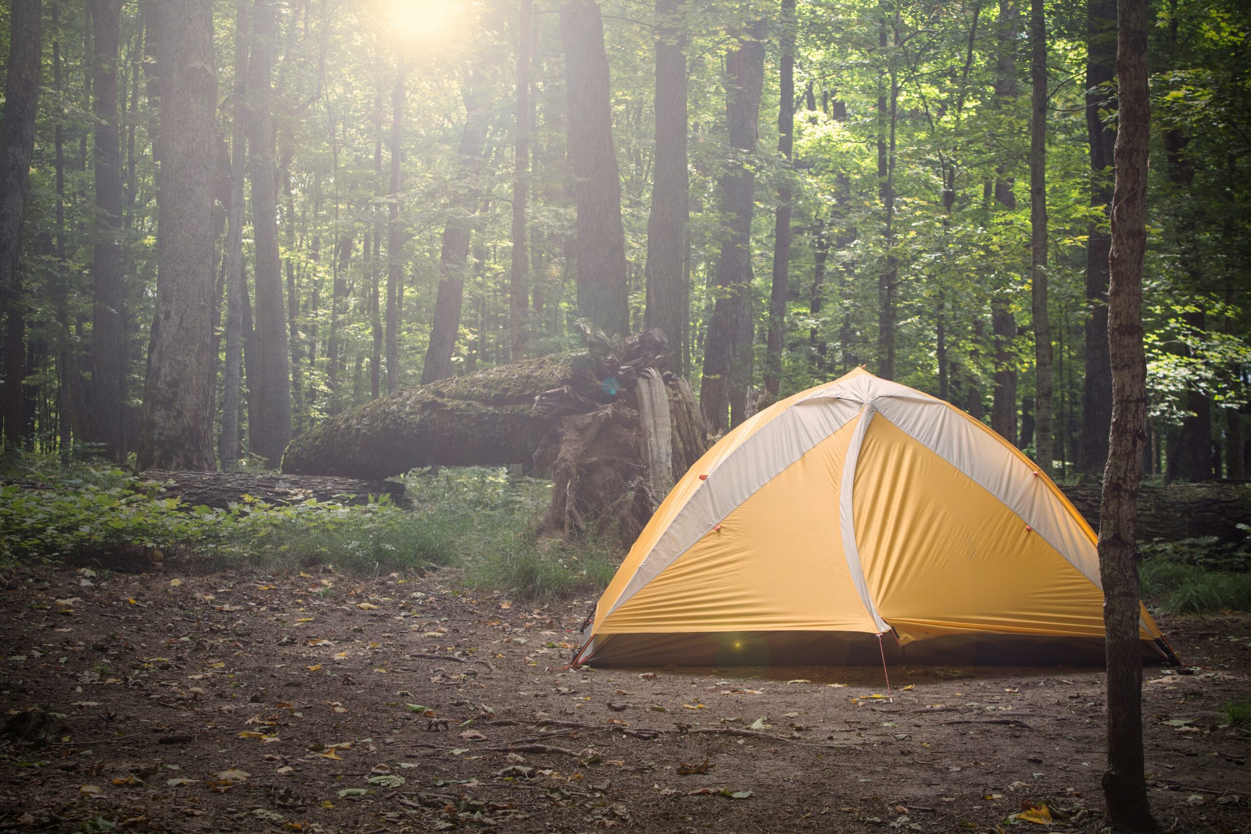 How to Clean and Store Your Camping Tent